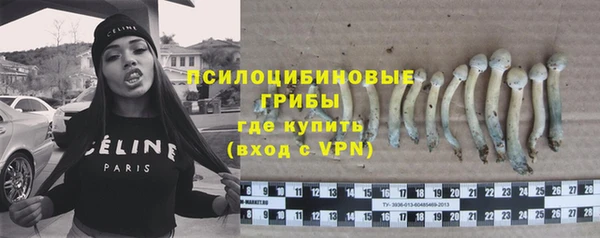 дмт Россошь