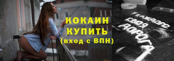 индика Ростов