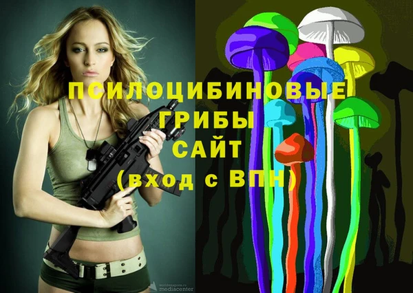 индика Ростов