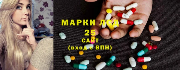 индика Ростов