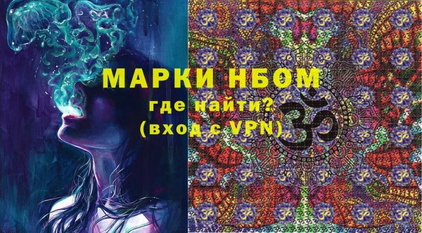 индика Ростов