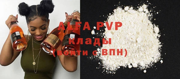 индика Ростов