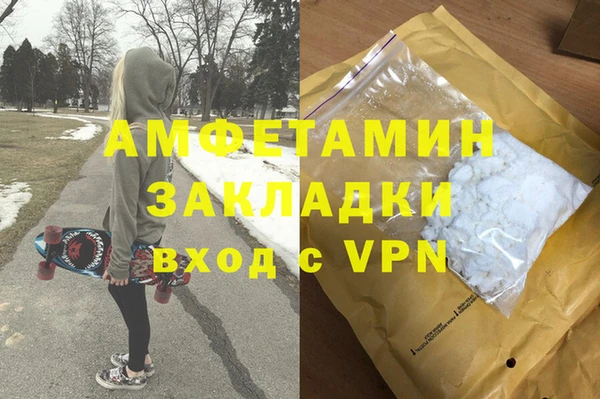 индика Ростов