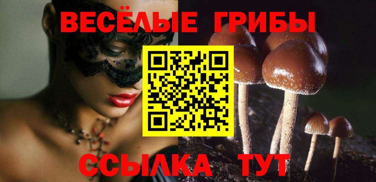 Галлюциногенные грибы MAGIC MUSHROOMS Спасск-Дальний