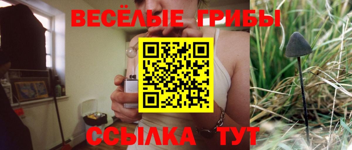 как найти закладки  Галлюциногенные грибы Cubensis  Вход с VPN  Спасск-Дальний 